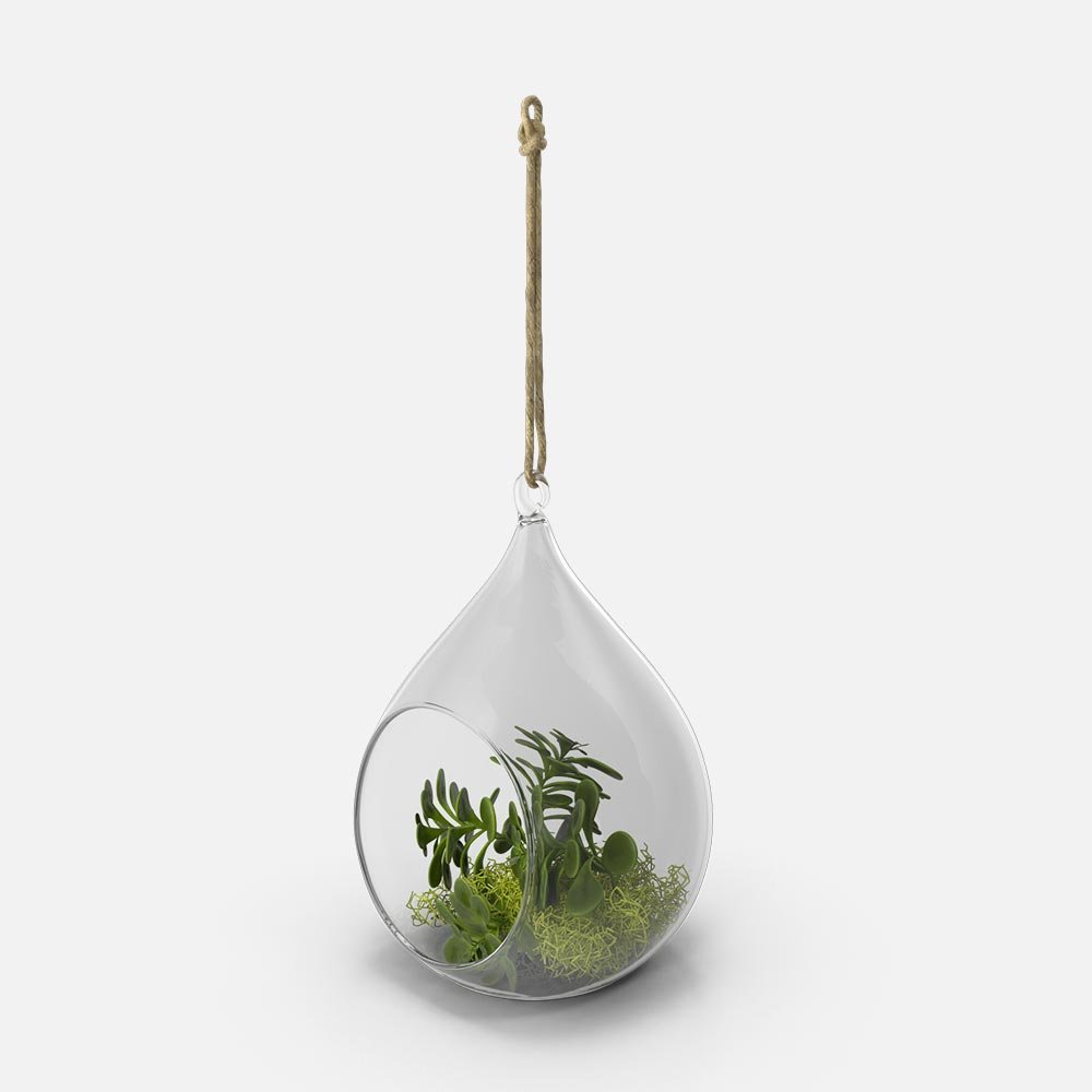hanging terrarium.h03.2k 1.jpg